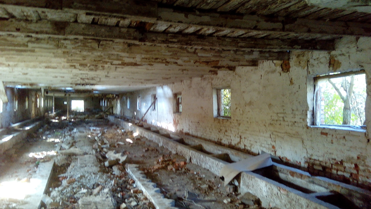 Нежитлові будівлі заг. пл. 1135,1 кв.м., які складаються з будівлі телятника літ. 