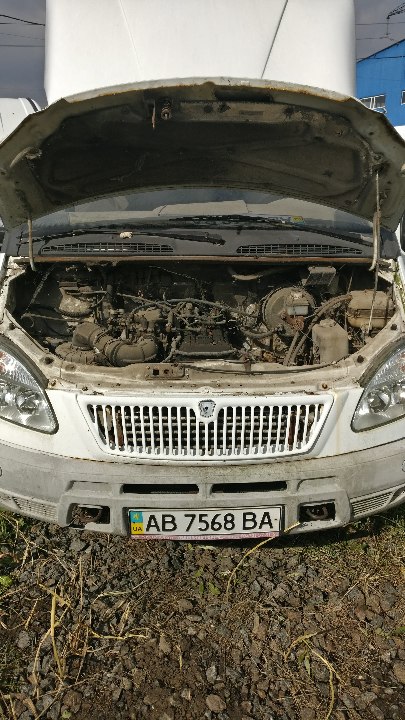 Транспортний засіб марки ГАЗ 3302 2464, 2008 року випуску, білого кольору, номер кузова: 33020080534623, ДНЗ АВ7568ВА