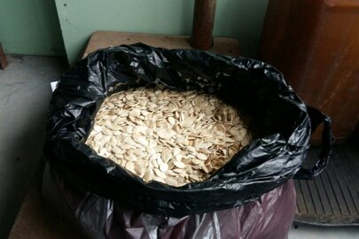 5.5 кг насіння гарбуза