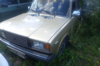 Транспортний засіб марки ВАЗ, модель 21074, державний номерний знак АЕ6585СМ, 1994 року випуску, колір бежевий, VIN XTA210740S0884155