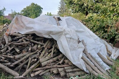 Конфісковане майно за рішенням суду: деревина  породи "Клен" у кількості 170 шт., породи "Акація" у кількості 5 шт. у загальній кількості близько 40 м. куб.