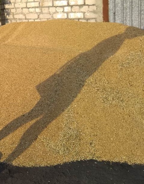 Пшениця загальною вагою  3070.00 кг