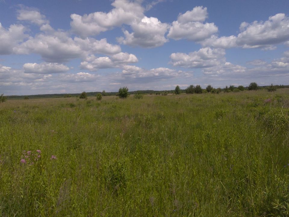 Земельна  ділянка, площею 0,08 га, кадастровий номер 0721880800:04:000:2292, за адресою: Волинська обл., Ківерцівський район, Борохівська сільська рада