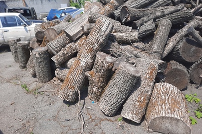 Спиляна деревина породи "Ясен" в кількості 5,68 м3