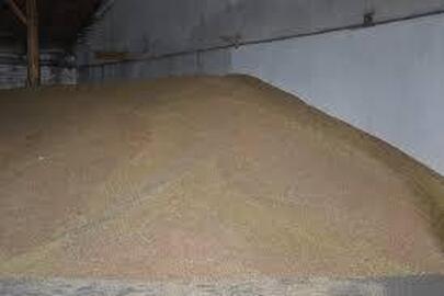 Зерна сої, клас нестандартний, рік збирання урожаю - 2023, маса залікова 18690 кг