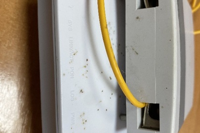 Конфісковане майно за рішенням суду: Модем білого кольору, б/в