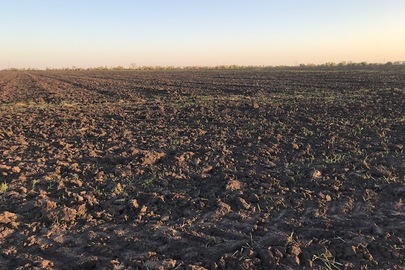 Земельна ділянка, кадастровий номер 1225684401:03:006:0002, загального площею 0,4414 га, за адресою: Дніпропетровська область, Царичанський район, с. Прядівка, вул. Медова