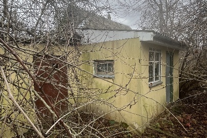 Домоволодіння, загальною площею 29,1 кв. за адресою: Київська обл., Фастівський р-н, с. Вільне, вул. Свободи, буд. 45