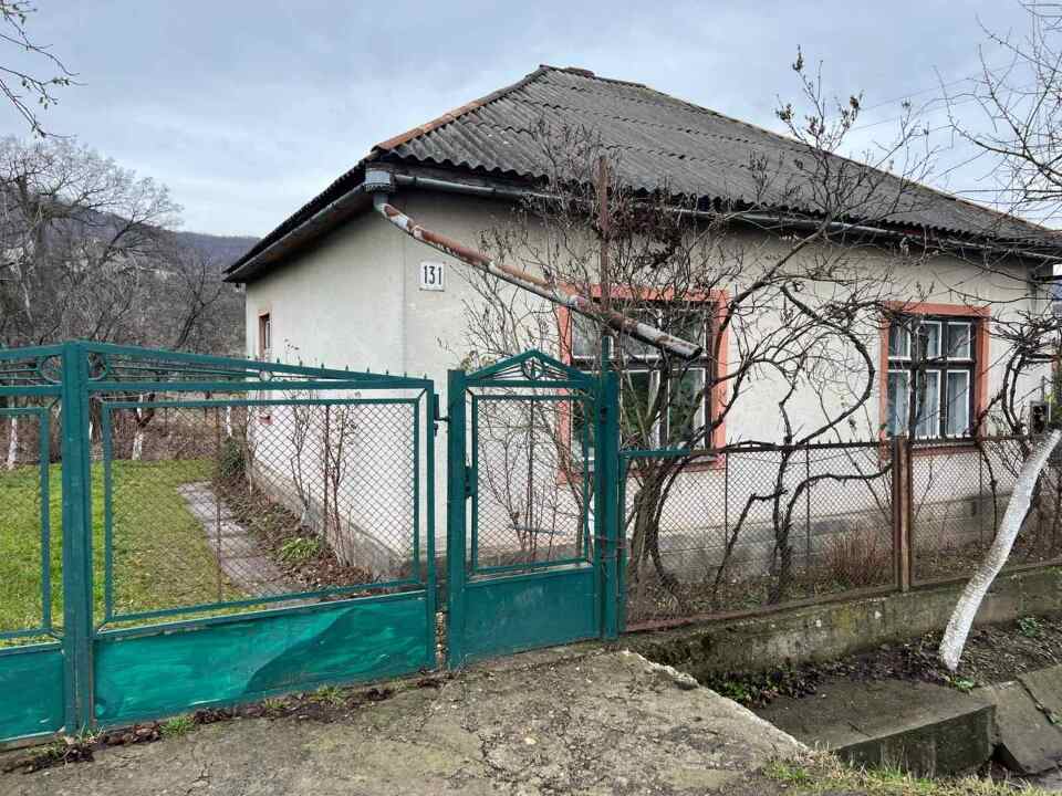 Житловий одноповерховий будинок, з надвірними спорудами загальною площею 73,8 кв.м., що розташований за адресою: Закарпатська область, Берегівський (Виноградівський) район, с.Велика Копаня, вул. Миру (Леніна), будинок №131