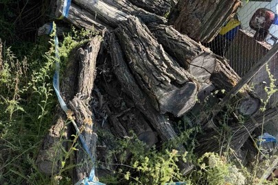 Конфісковане за рішенням суду майно: фрагменти деревини (колоди) в кількості 50 штук