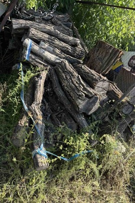 Конфісковане за рішенням суду майно: фрагменти деревини (колоди) в кількості 50 штук