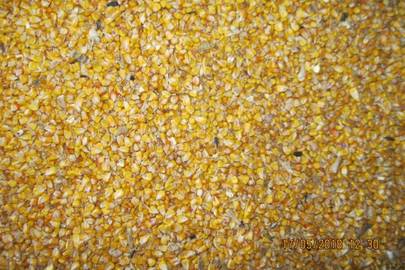 Зерно кукурудзи, клас 3, врожай 2016 року, вага 43 432,00 кг