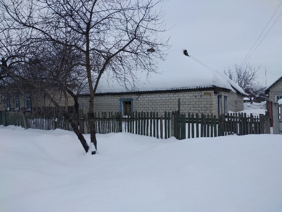 Житловий будинок загальною площею 43,5 кв.м. з господарськими будівлями та спорудами за адресою: Дніпропетровська обл., П'ятихатський р-н, м.П'ятихатки, вул. Калинова (Калініна), буд. 37