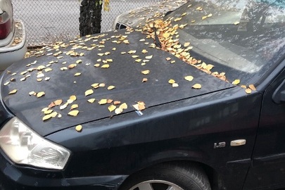 Автомобіль марки Maple c81, модель SMA7181, 2006 р.в., номер кузова: LJU7744S36S019117, д/н АЕ6940ВМ