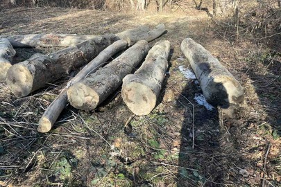 Конфіскація майна згідно рішення суду: деревина породи "Бук", 11 штук,  довжинами:3,6,2,6,3,6,2,3,4,6,6 метра