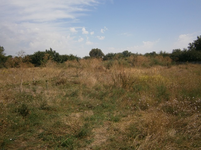 ІПОТЕКА. Земельна ділянка площею 0,083 га, кадастровий номер: 5122786400:02:003:0275, за адресою: Одеська обл., Лиманський р-н, с. Фонтанка, провулок Курортний, 3