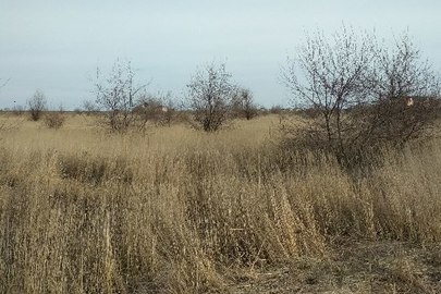 ІПОТЕКА. Земельна ділянка площею 0,100 га, кадастровий номер: 5122786400:02:002:0905, за адресою: Одеська обл., Лиманський р-н, с. Фонтанка, вул. Дачна, діл. 144