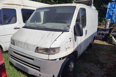 Транспортний засіб FIAT DUCATO, д.н.з. ВС2502АО, категорія: ВАНТАЖНИЙ, колір білий, 2000 р.в., номер кузова: ZFA23000005904729