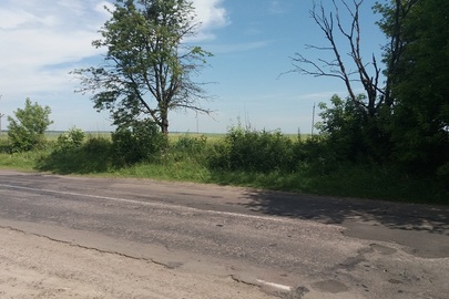 Предмет іпотеки. Земельна ділянка, загальною площею 0,2500 га, кадастровий номер: 5624282802:02:003:0017, місцезнаходження майна: Рівненська область, Острозький район, с. Грозів