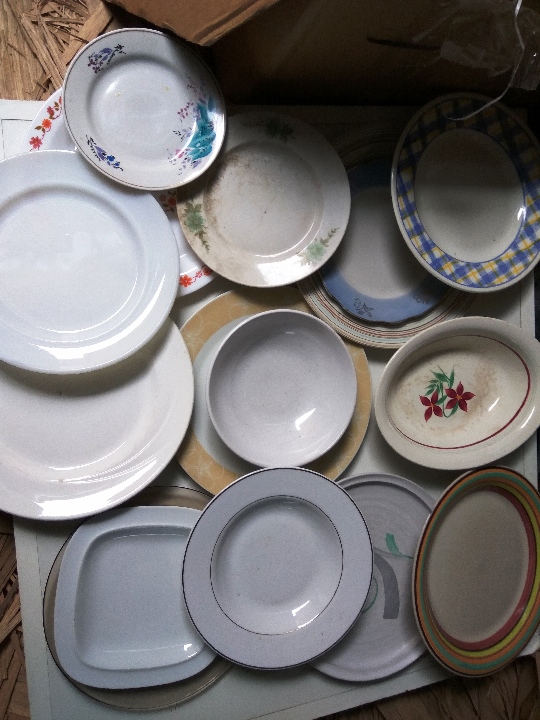 Тарілки в кількості 50 шт