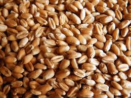 Пшениця озима 3 класу у кількості 198,661 тон