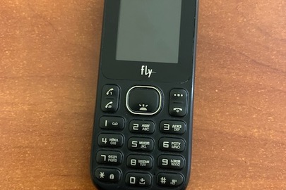 Мобільний телефон FLY DS1005D