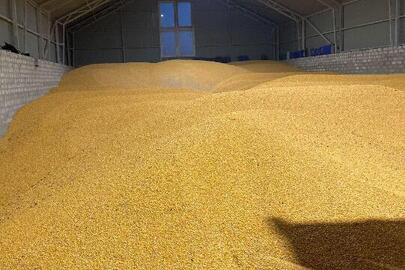 Зерно кукурудзи загальною вагою 338400,00 кг.