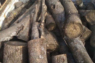 Два стовбури деревини "Ясень" розпиляні на фрагменти