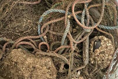 Конфіскація майна за виконавчим листом: сітка мисинова довжиною 30м., висотою 1м., вічко 44мм., б/в