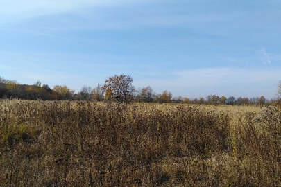 ІПОТЕКА: Земельна ділянка (кадастровий номер: 2610197401:18:004:0167) площею 0.0606 га, за адресою: Товариство колективного садівництва-городництва "Галицький господар", с. Хриплин, Івано-Франківська міська рада, Івано-Франківська область