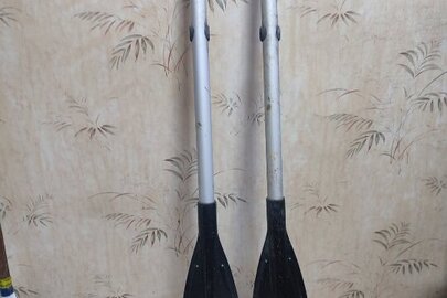 Конфіскація майна за рішенням суду: гумовий надувний човен "Thunder" зеленого кольору з двома алюмінієвими веслами, стан б/в