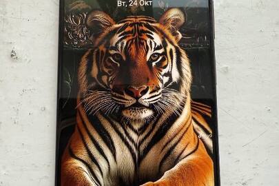 Конфісковане майно за рішенням суду: мобільний телефон марки "Redmi Note 10 Pro" IMEI 864380051314786 та 864382051314794, б/в, стан невідомий