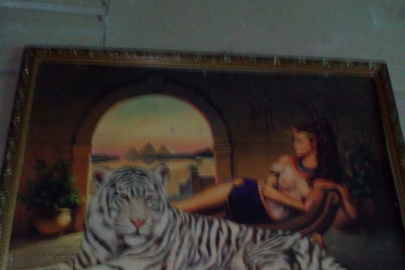Картина із зображенням жінки та тигра, має пошкодження, б/в
