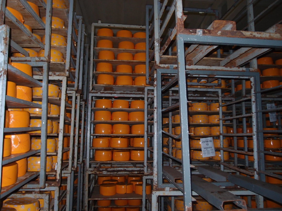 Сирний продукт «Мрія» з ароматом пряженого молока 50% (знаходиться в процесі дозрівання), 6200 кг.