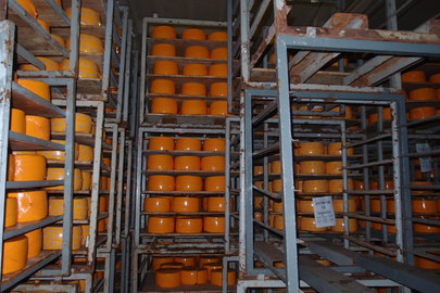 Сирний продукт «Мрія» з ароматом пряженого молока 50% (знаходиться в процесі дозрівання), 6200 кг.