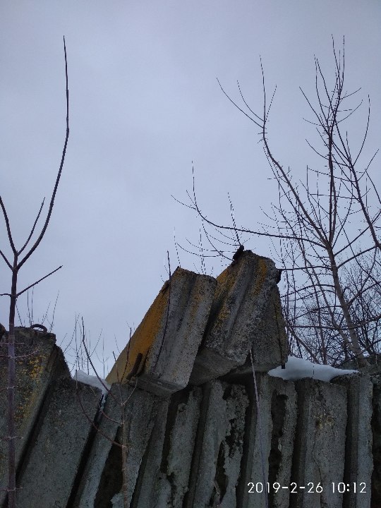 Залізобетонні панелі з вікнами, б/в, 9 шт.
