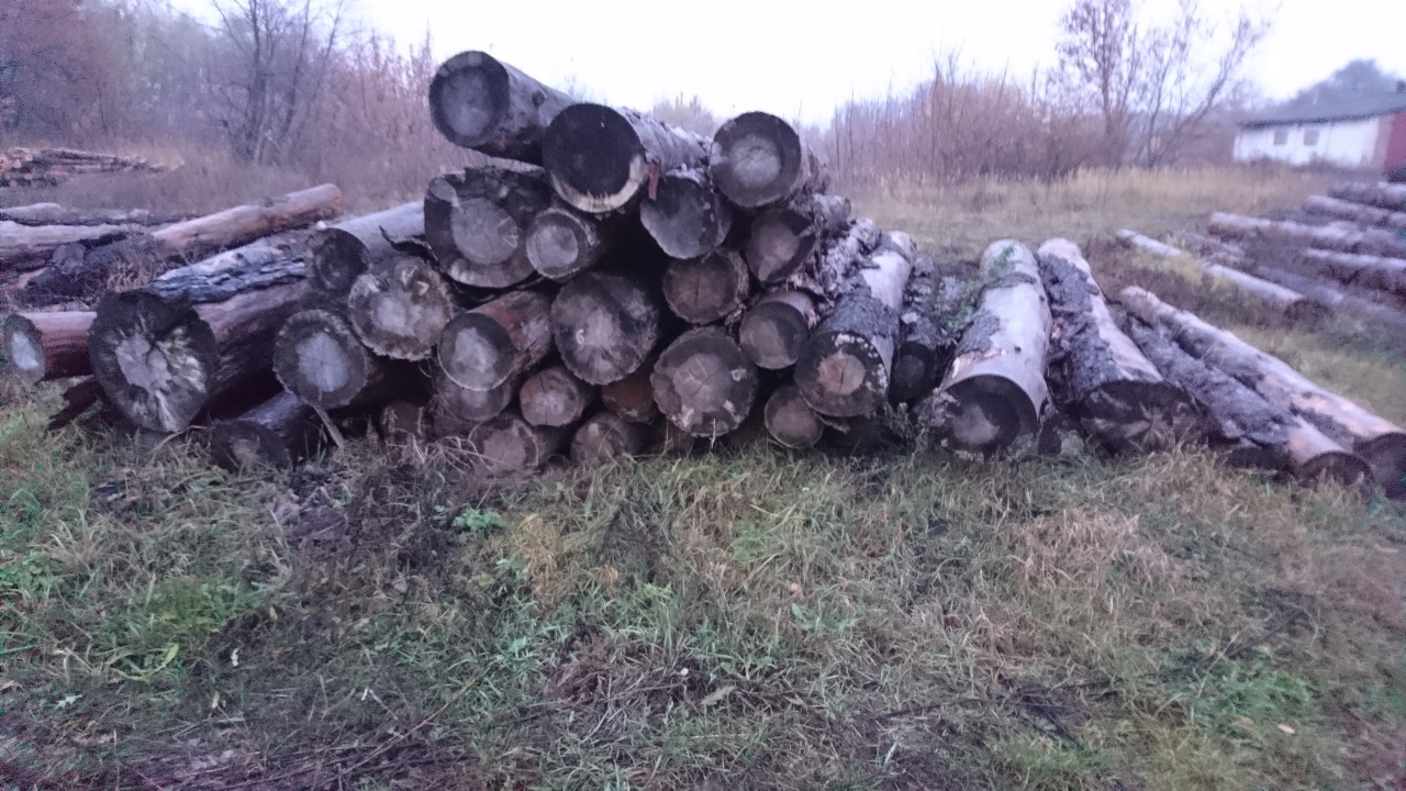 Лісоматеріал - кругляк сосни довжиною 4 м, об'ємом 8,26 м.куб.