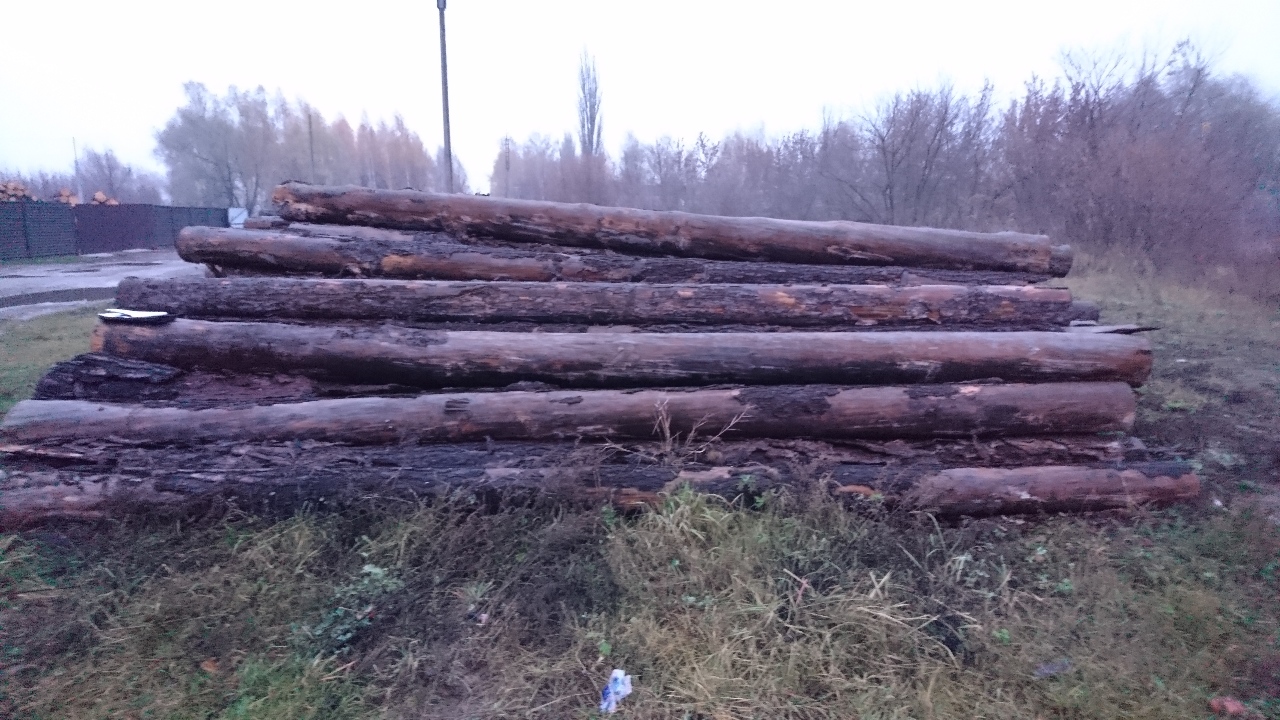 Лісоматеріал - кругляк сосни довжиною 6 м, об'ємом 28,47 м.куб.
