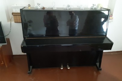 Піаніно чорного кольору, 1 шт.