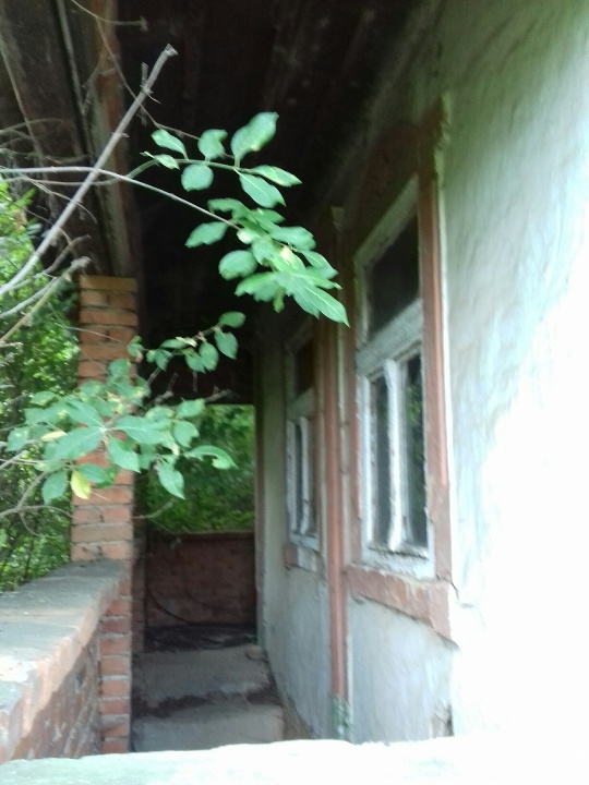 ІПОТЕКА. Житловий будинок, загальною площею 61.0 кв.м. з надвірними спорудами та земельна ділянка, площею 0.2500 га., кадастровий № 2124855501:04:003:0019, що знаходяться за адресою: Закарпатська обл., Ужгородський р-н., с. Вовкове, вул. Перемоги, 71
