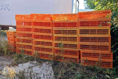 Ящики для перевозки живої птиці в кількості 1008 шт., б/в, стан задовільний