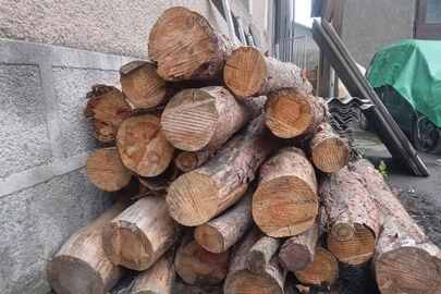 Конфіскація майна за рішенням суду: колоди дерев породи "Сосна", один контрольний зріз 26х26 см. контрольний зріз 26х26 см. контрольний зріз 26х25см.,  загальним об"ємом 1,662 м.куб. 