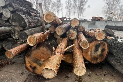 Конфісковане майно за рішенням суду: 14 колод деревини породи "Сосна"