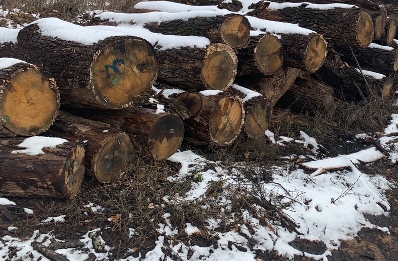 Лісоматеріали у кількості 5м3 – сорт С, діаметр 20-24