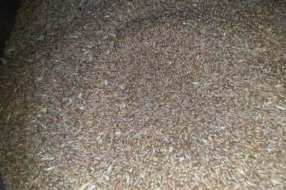 Зерно озимої пшениці 4 класу, врожаю 2019 року,вагою 1,4075 тон