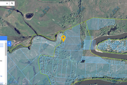 Земельна ділянка пл. 0,1 га, кад. № 3221285200:04:007:0061, РНМ 315921432212, цільове призначення: для індивідуального садівництва, за адресою: Київська обл., Броварський р-н, Літочківська с/рада