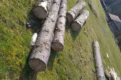 Лісопродукція породи "Смерека" в кількості 6 колод довжиною по шість метрів кожна, загальною масою 2,22 метри кубічні