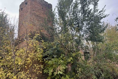 Нежитлова будівля, котельня, реєстраційний номер 16087117, загальною площею 128 кв.м., розташована за адресою: Запорізька область, Запорізький район, с.Новомиколаївка, вул. Українська (стара назва - Леніна), 10а