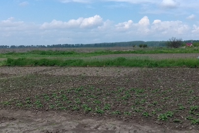 Земельна ділянка, К/Н: 7124610100:02:001:0662, загальною площею 0,0489 га, що знаходится за адресою: Черкаська обл., Христинівський р-н, м. Христинівка