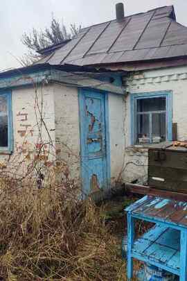 Житловий будинок, реєстраційний номер 3974071206, загальна площа 23,7 кв.м. та земельна ділянка площею 0,15 га, кадастровий № 7120655100:01:001:2321, що знаходяться за адресою: Черкаська обл., Золотоніський р., сщ. Драбів, вул. Набережна, буд. 53